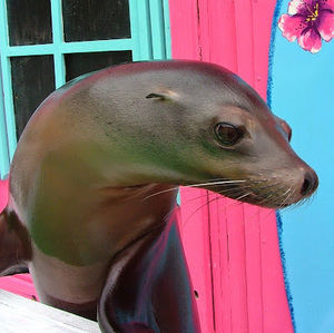 Meet your Posher, Shannon